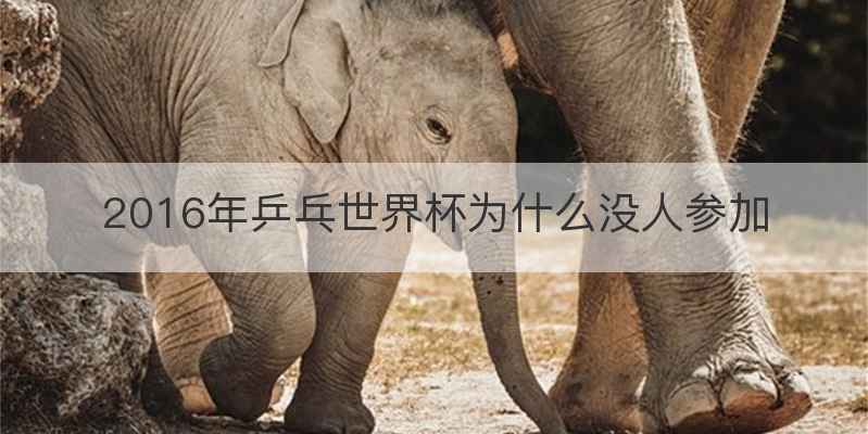 2016年乒乓世界杯为什么没人参加