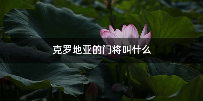 克罗地亚的门将叫什么