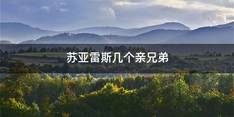 苏亚雷斯几个亲兄弟