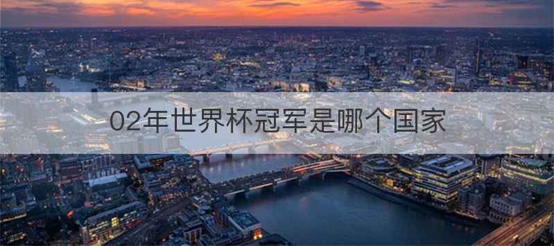 02年世界杯冠军是哪个国家