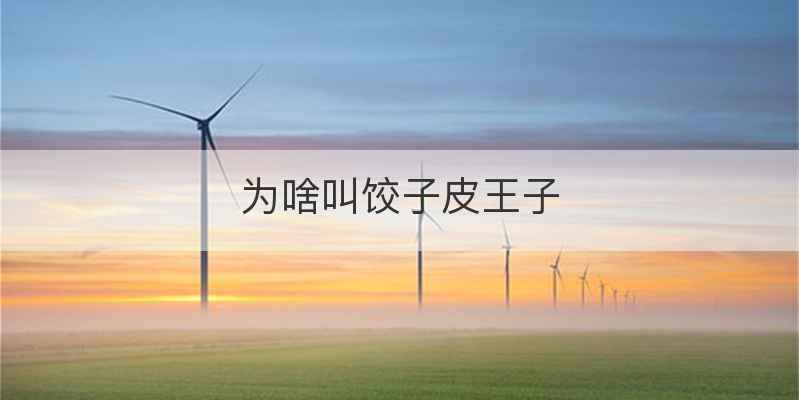 为啥叫饺子皮王子