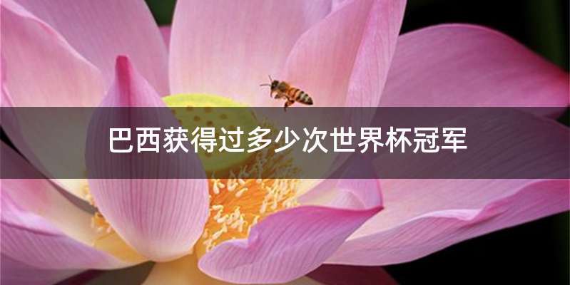 巴西获得过多少次世界杯冠军