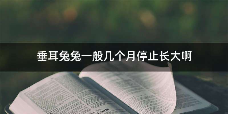 垂耳兔兔一般几个月停止长大啊