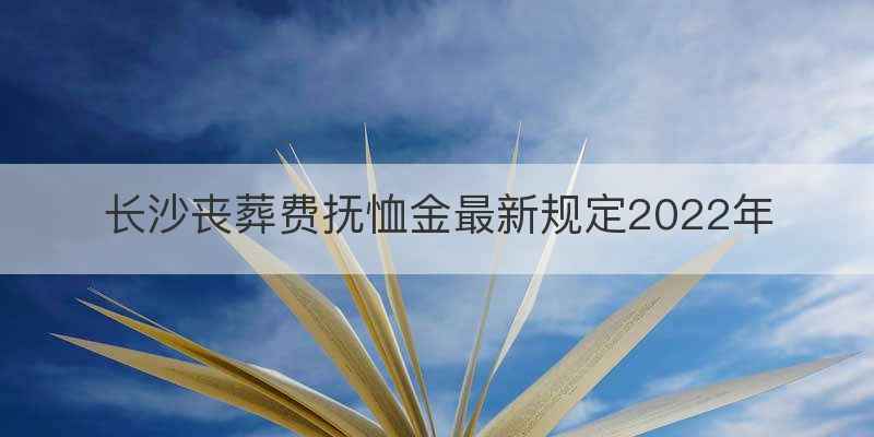 长沙丧葬费抚恤金最新规定2022年