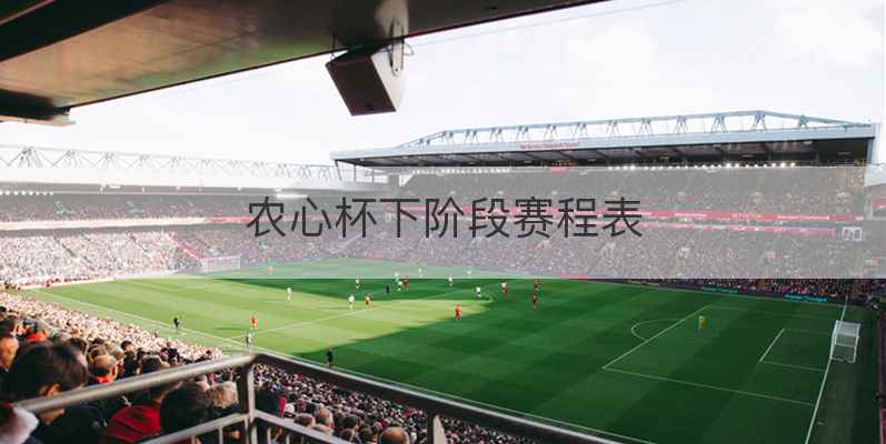农心杯下阶段赛程表