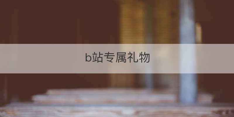 b站专属礼物