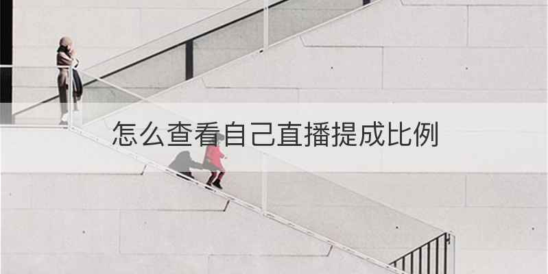 怎么查看自己直播提成比例