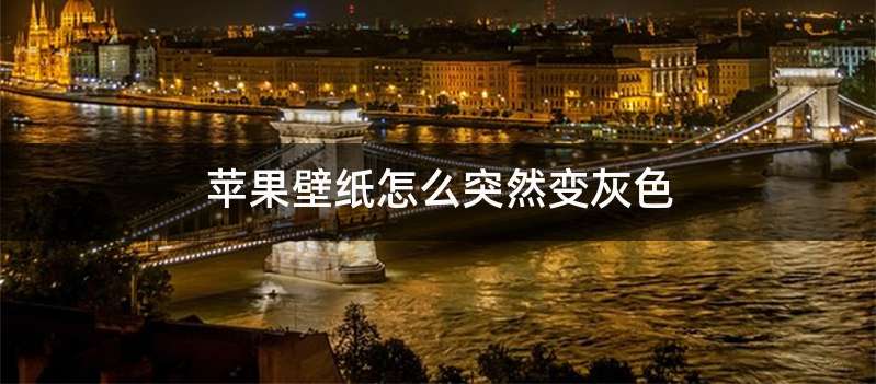 苹果壁纸怎么突然变灰色