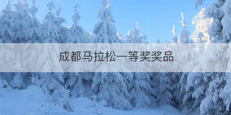 成都马拉松一等奖奖品