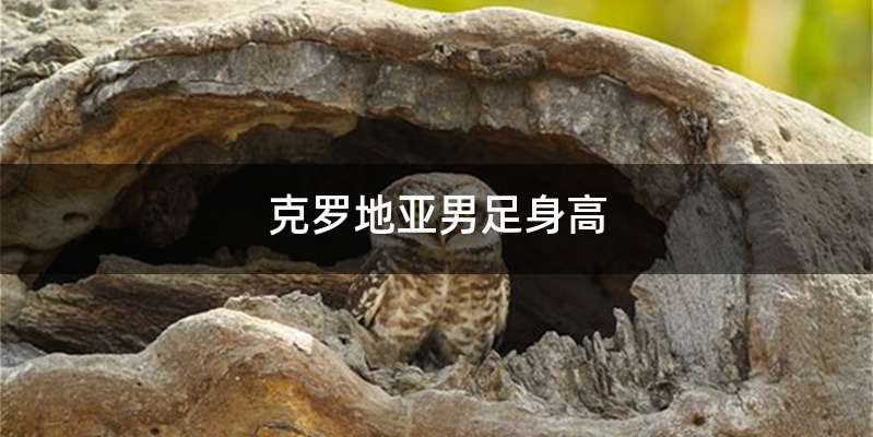 克罗地亚男足身高