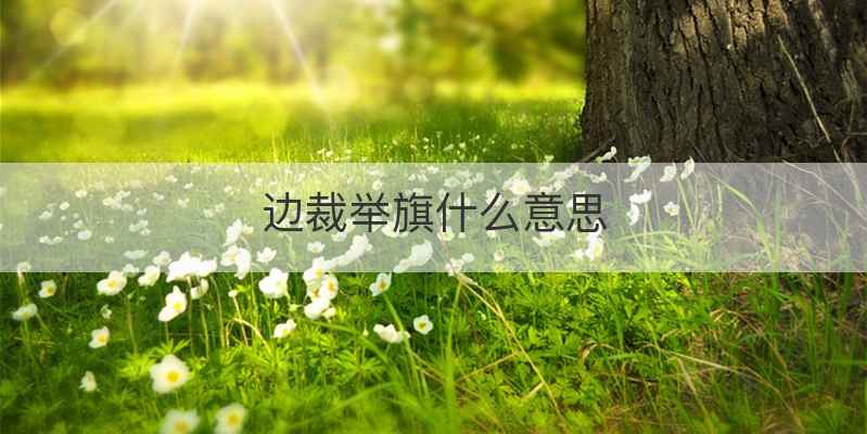 边裁举旗什么意思