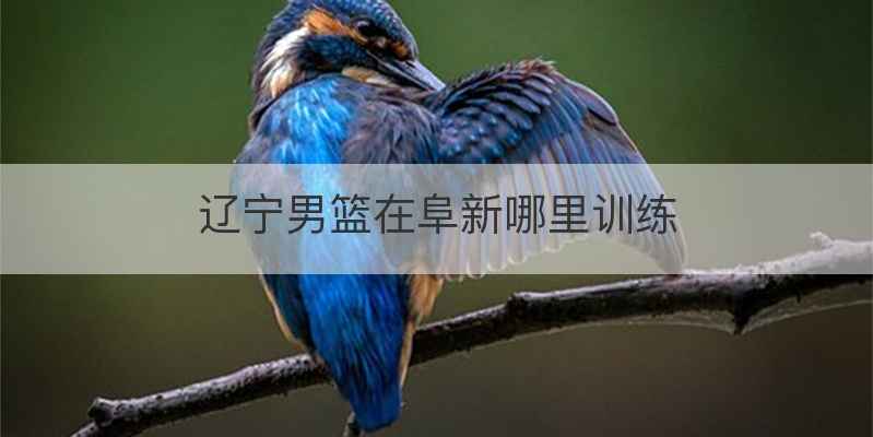 辽宁男篮在阜新哪里训练