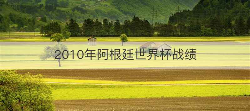 2010年阿根廷世界杯战绩