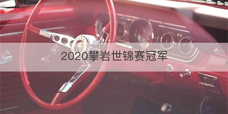 2020攀岩世锦赛冠军