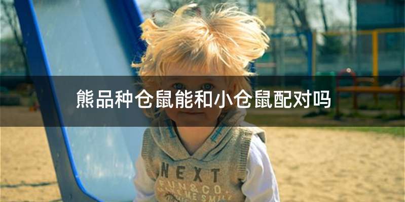 熊品种仓鼠能和小仓鼠配对吗