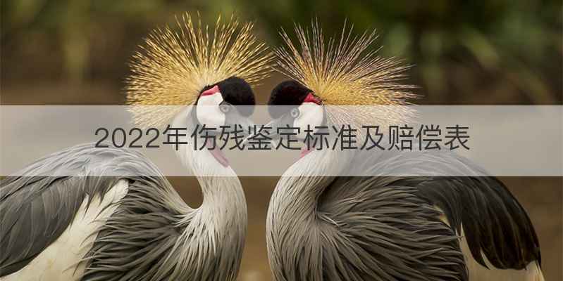 2022年伤残鉴定标准及赔偿表