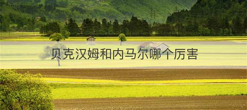 贝克汉姆和内马尔哪个厉害