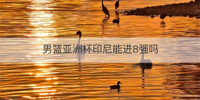 男篮亚洲杯印尼能进8强吗