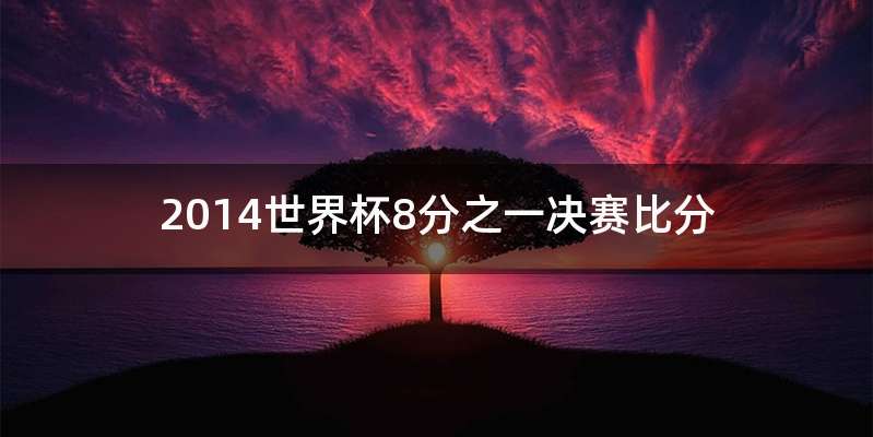 2014世界杯8分之一决赛比分