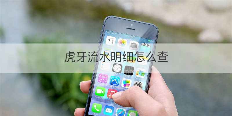 虎牙流水明细怎么查