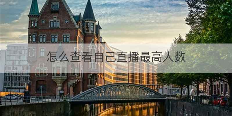 怎么查看自己直播最高人数