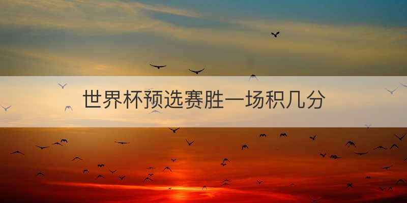 世界杯预选赛胜一场积几分