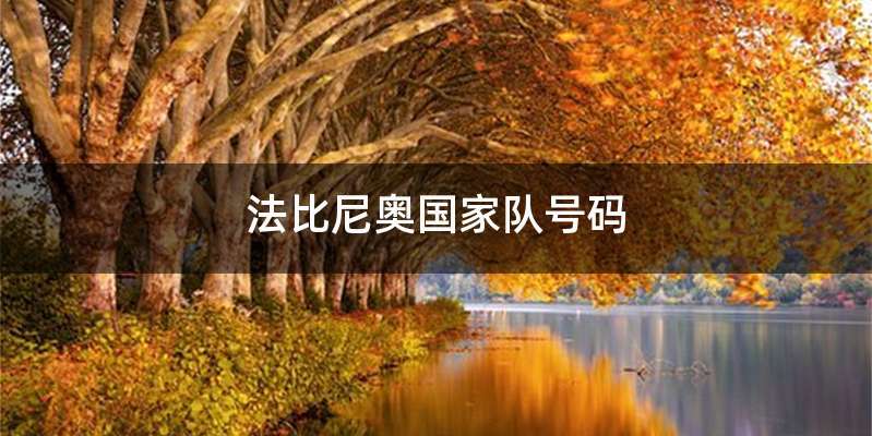 法比尼奥国家队号码