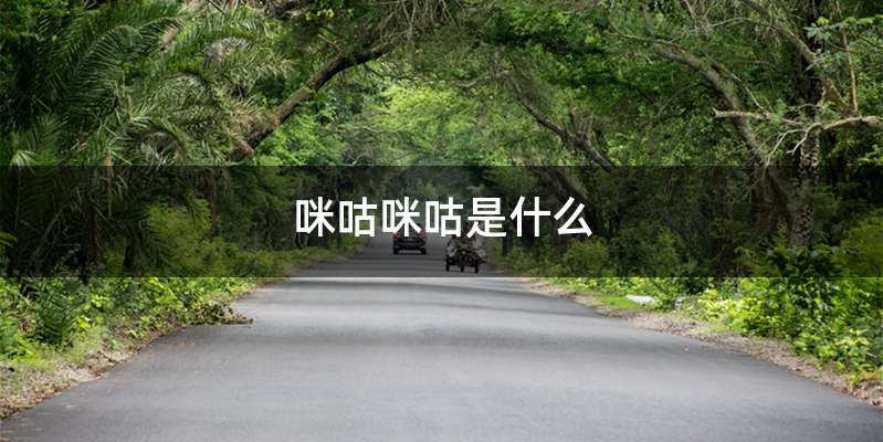 咪咕咪咕是什么