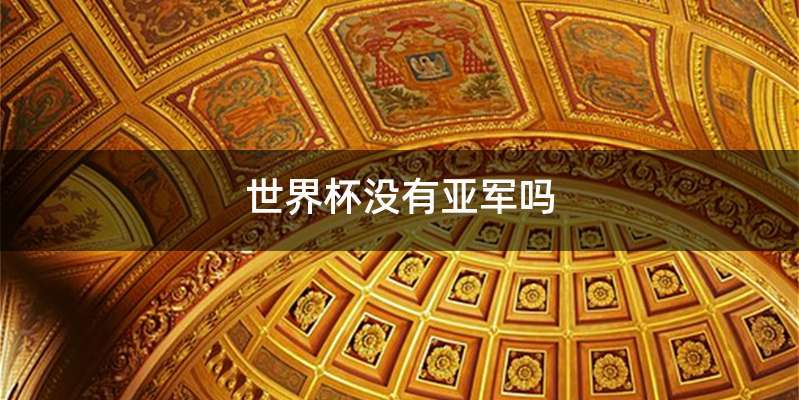 世界杯没有亚军吗