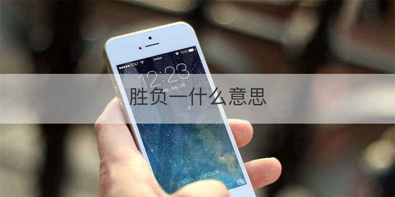胜负一什么意思