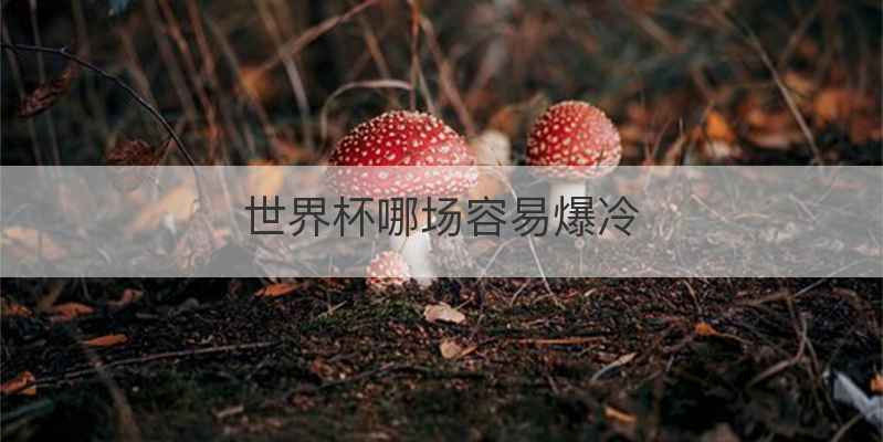 世界杯哪场容易爆冷