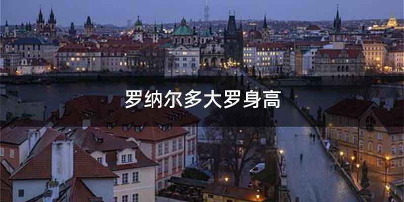 罗纳尔多大罗身高