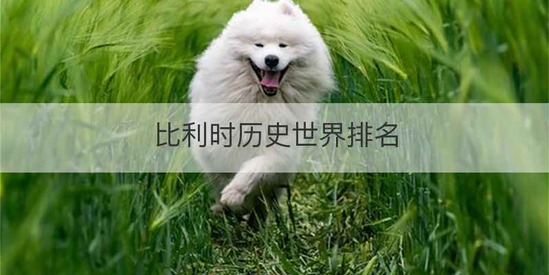 比利时历史世界排名