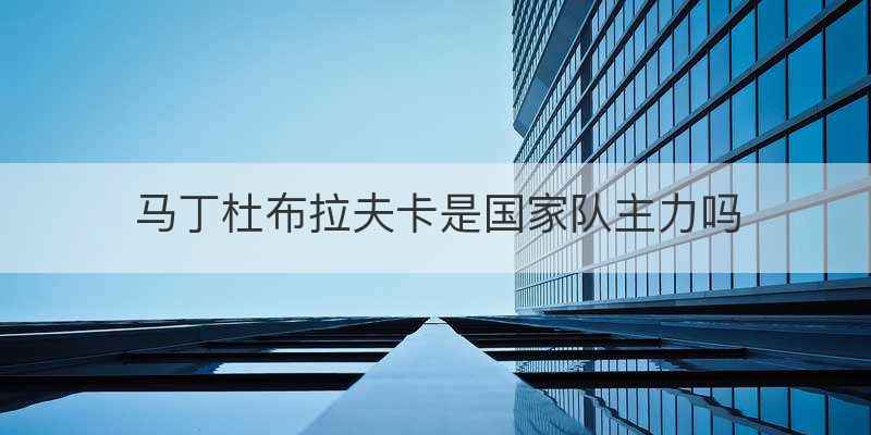 马丁杜布拉夫卡是国家队主力吗