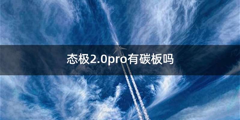 态极2.0pro有碳板吗