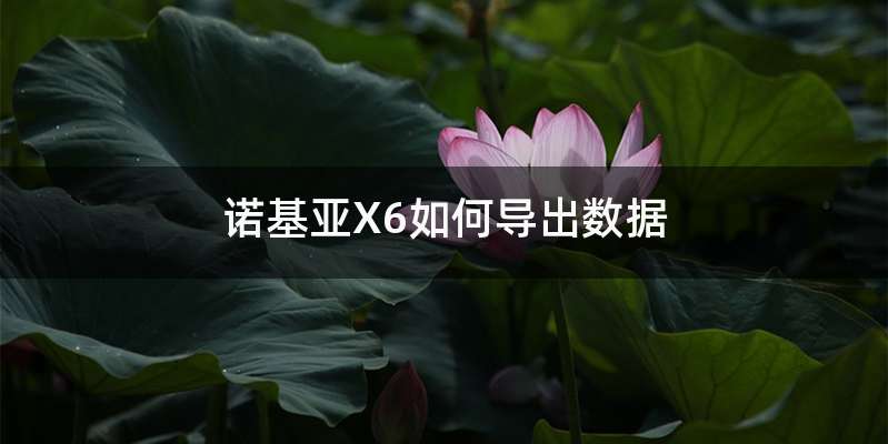 诺基亚X6如何导出数据