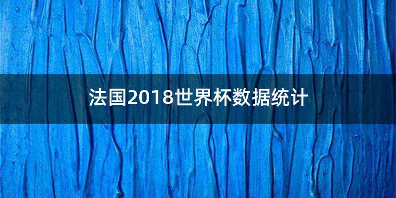 法国2018世界杯数据统计