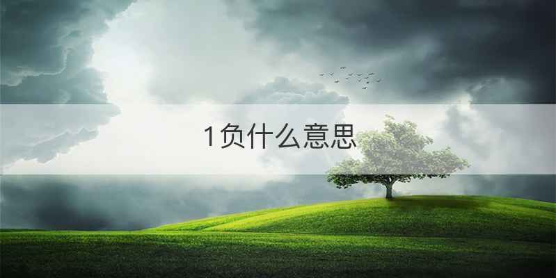 1负什么意思