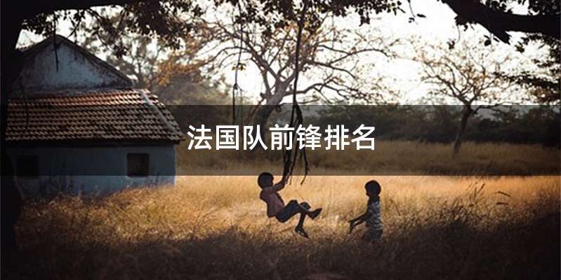 法国队前锋排名