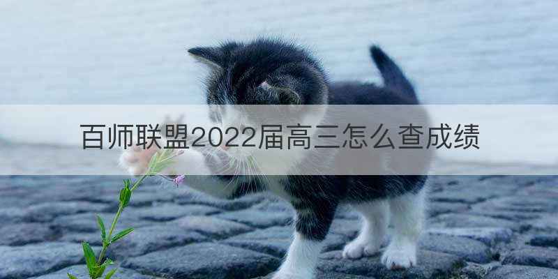 百师联盟2022届高三怎么查成绩