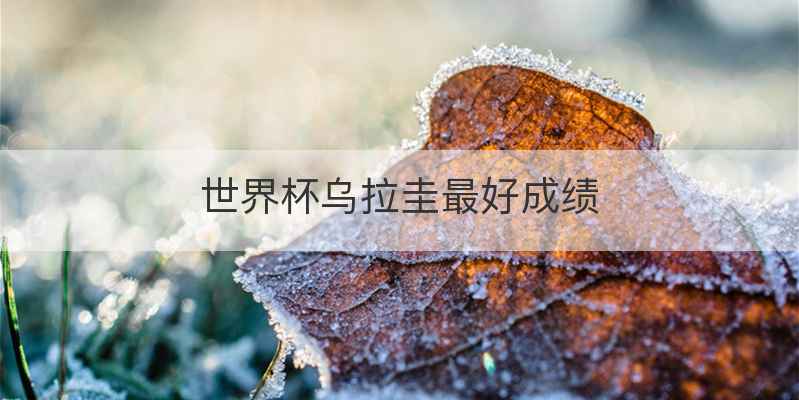 世界杯乌拉圭最好成绩