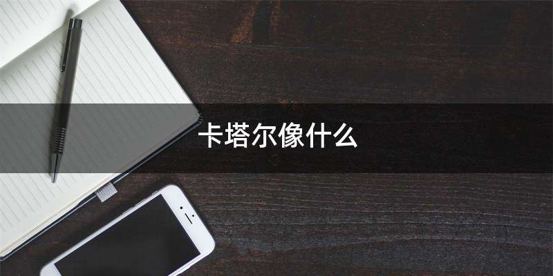 卡塔尔像什么