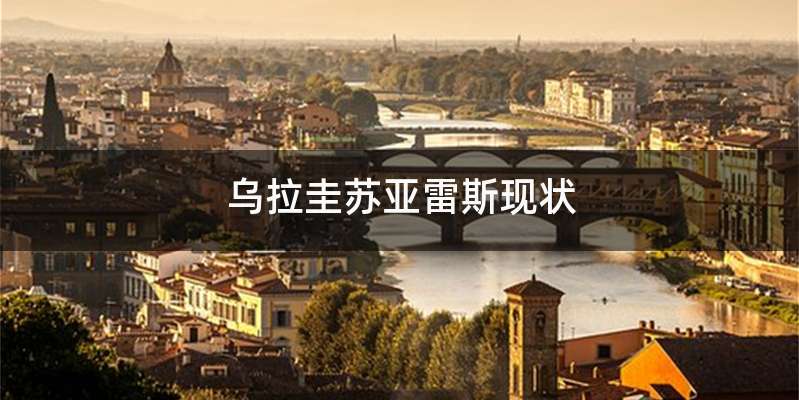 乌拉圭苏亚雷斯现状