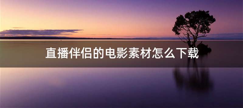 直播伴侣的电影素材怎么下载