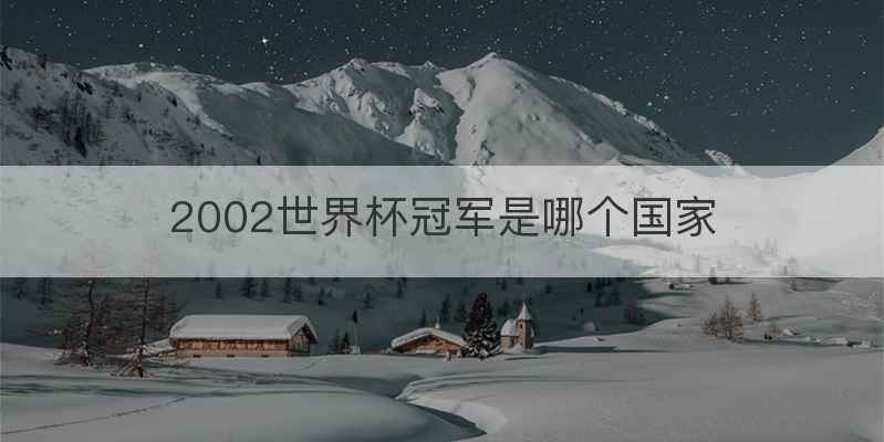 2002世界杯冠军是哪个国家
