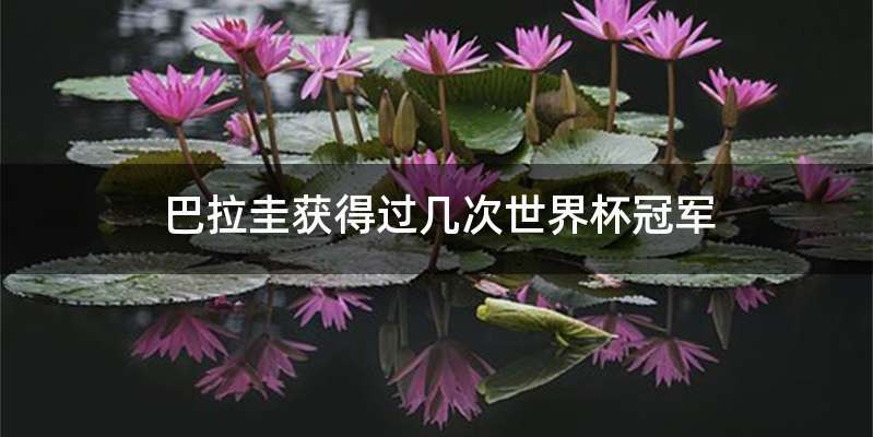 巴拉圭获得过几次世界杯冠军