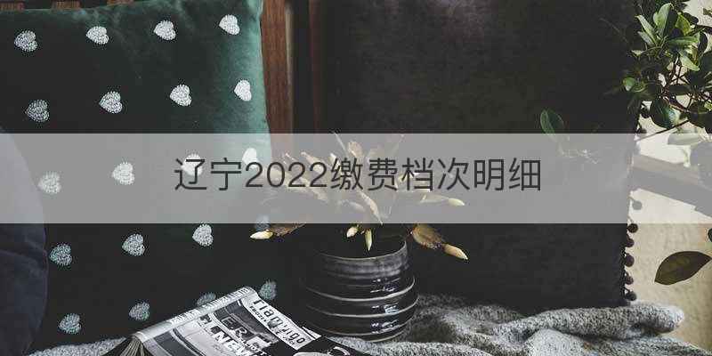 辽宁2022缴费档次明细