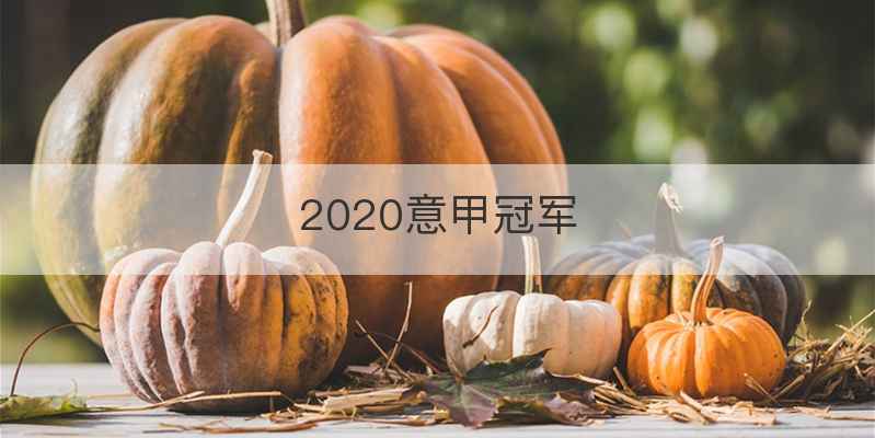 2020意甲冠军