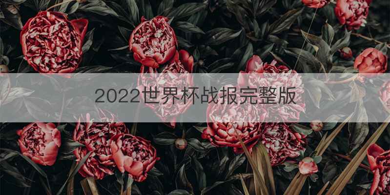 2022世界杯战报完整版