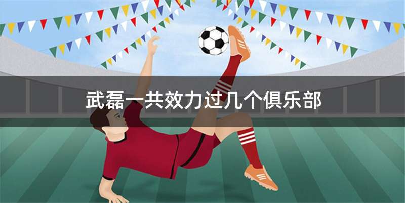 武磊一共效力过几个俱乐部